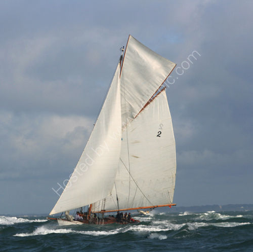 Kelpie